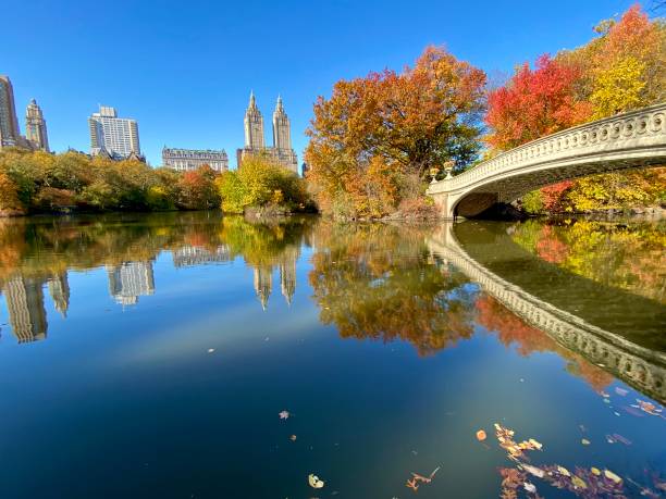 istock Central Park’s sweet song 1313704999