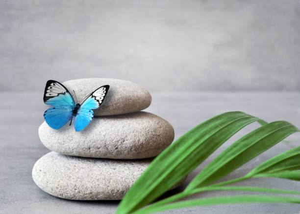 istock Spa stones with palm branch and butterfly on grey background. 1313706661