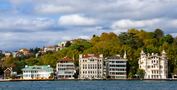istock Scenery of Bosphorus in Istanbul, Turkey 1313706674