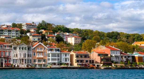 istock Scenery of Bosphorus in Istanbul, Turkey 1313706792
