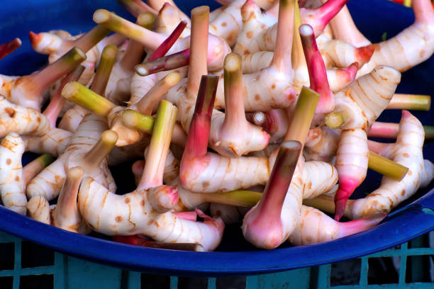 istock Fresh organic ginger in blue plastic basket 1313707671