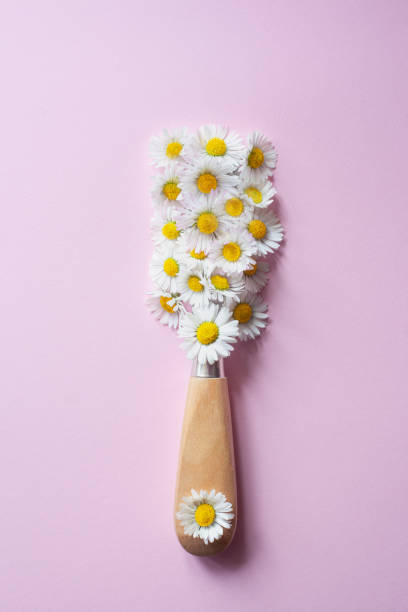 istock Creative layout of white flowers and paint brush on light pink backround 1313707862