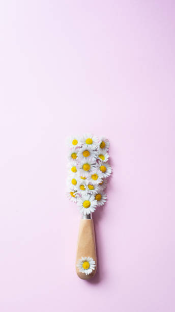istock Creative layout of white flowers and paint brush on light pink backround 1313707875