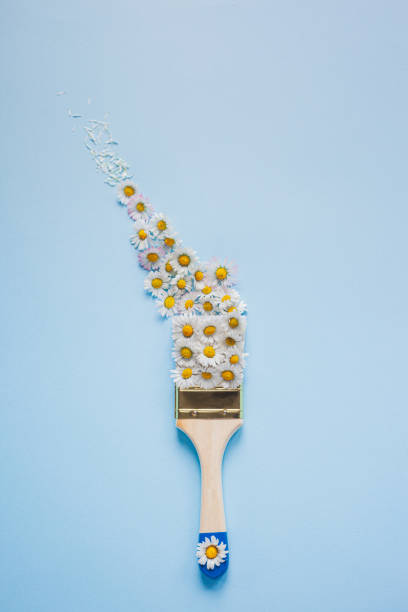 istock Creative layout of white flowers and paint brush on light blue background 1313708321