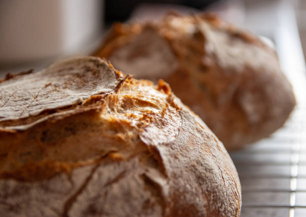 istock home-made bread wheat rye sourdough oven 1313708400
