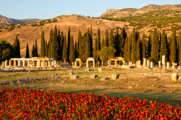 トルコパムッカレのヒエラポリス遺跡の遺跡 - hierapolis ストックフォトと画像