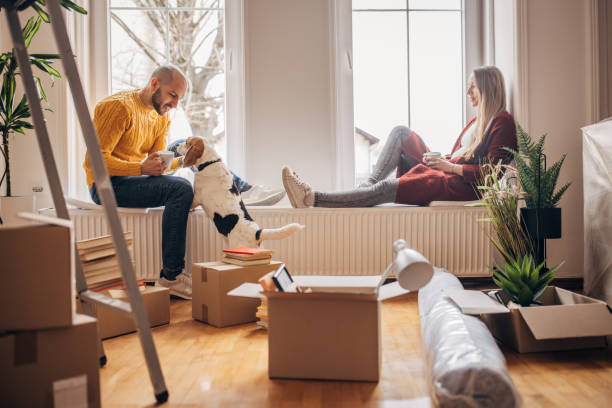 couple with pet dog in new home - moving house apartment couple box imagens e fotografias de stock