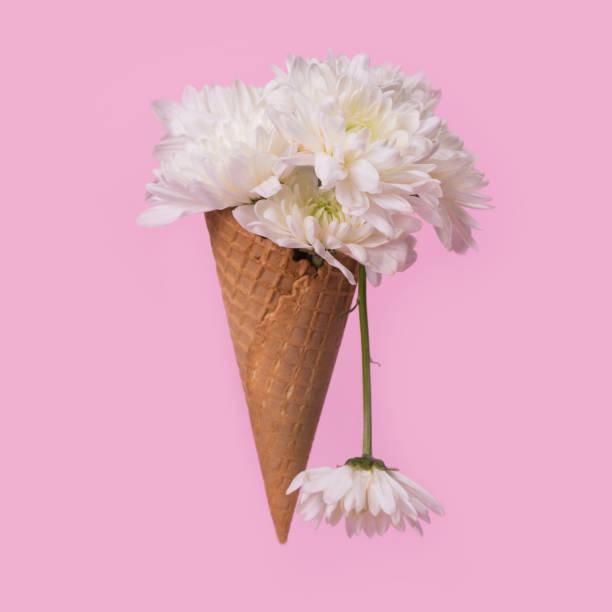 istock Ice cream cone with white flowers and dripping effect on a pastel pink background. 1313712818