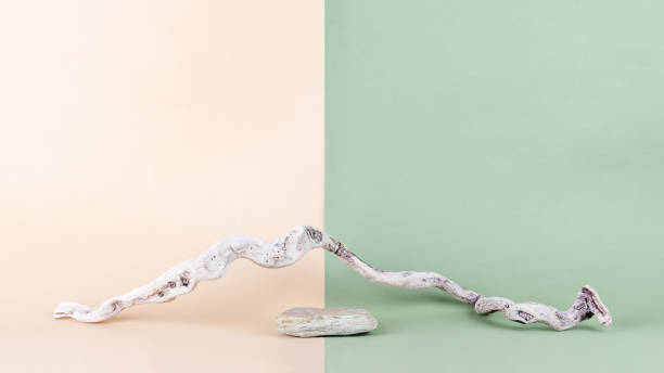Stone podium and driftwood on a neutral two-tone background.