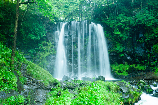 Japanese waterfalls in woodland