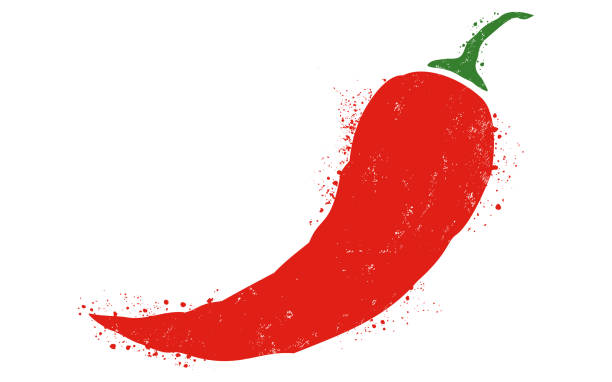 Vector icon of red chili pepper. vector art illustration
