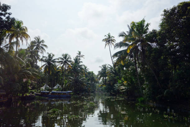 istock Backwaters network of brackish lagoons in Kerala 1313725557