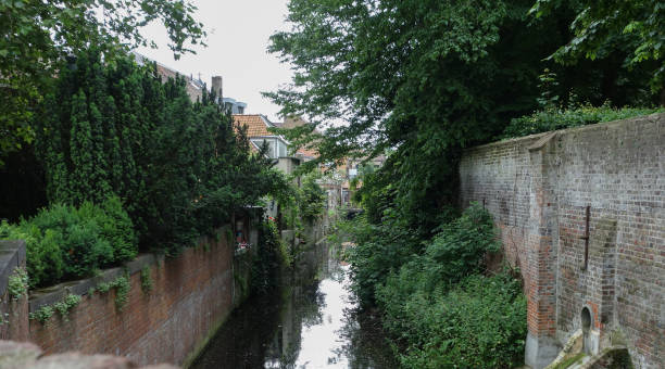 istock Canals in Brugge 1313725628