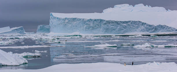 iceberg tabulare da una piattaforma di ghiaccio, vicino all'isola paulet, penisola antartica, antartide - ice pack foto e immagini stock