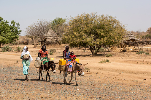 Bitkine, Chad - February 20, 2020: A group of young women in traditional dress riding donkeys between the towns of Mungo and Bitkine in central Chad.  One of the women is holding her baby in her arms.
