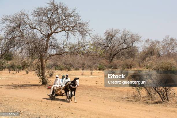 Group Of Men Travelling On Horse Cart To The Town Bitkine Chad Stock Photo - Download Image Now