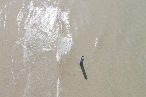 istock Aerial image from drone of beautiful sand beach 1313735744