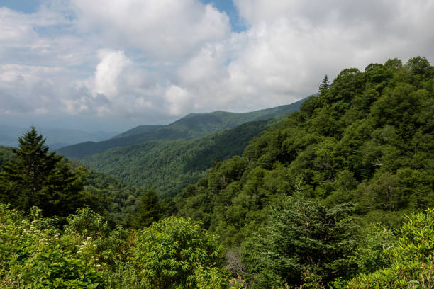 istock Summer in the Appalachian Mountains Viewed Along the Blue Ridge Parkway 1313740145