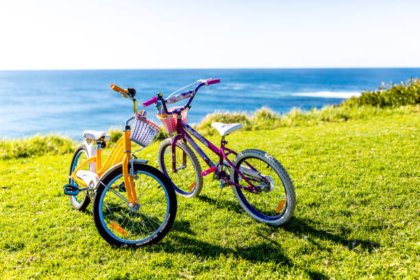 istock Two children bicycles sitting side by side on the seaside. 1313741159