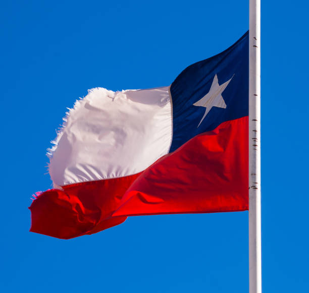 istock Flag of Chile 1313741976