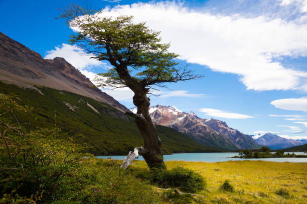 El Calafate, Argentina, Cerro Torre, Chalten, Dawn