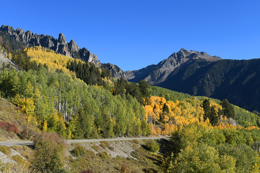 Full of fall colors road leading to Telluride Valley, Colorado, USA