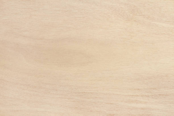 istock Plywood texture background, wooden surface in natural pattern for design art work. 1313763512