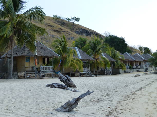 istock Bungalows for Tourists 1313765945