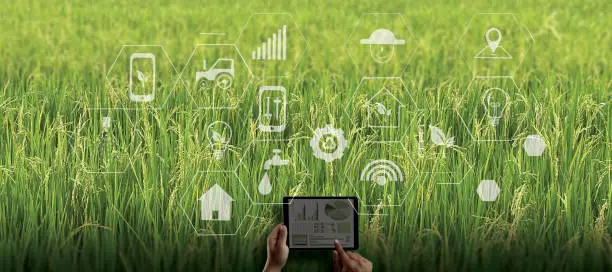 Photo of agriculture technology concept man Agronomist Using a Tablet in an Agriculture Field read a report integrate artificial intelligence machine learning technology  5G