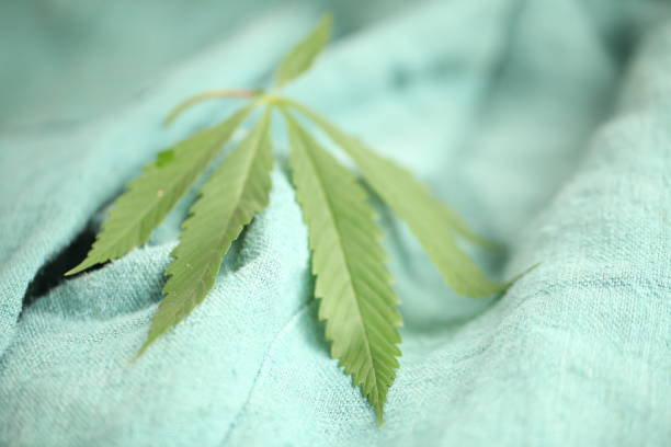 istock cannabis leaf and hemp fabric 1313768479