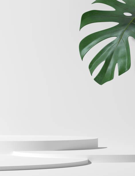 Abstract background. mock up scene for product display. 3d render