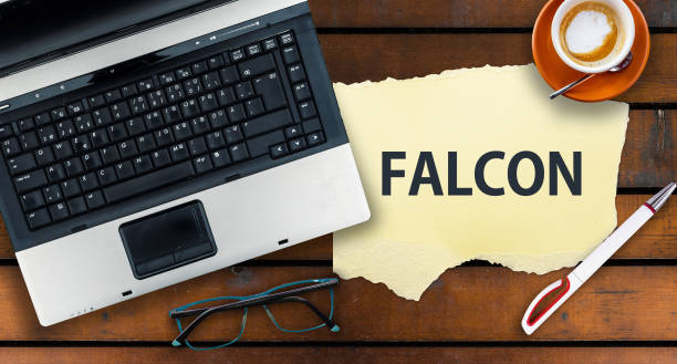 istock Word Falcon on paper and laptop 1313770846