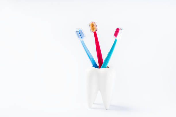Copy space.Toothbrushes in a stand in the form of a tooth on a white background. Place for text.Healthy and clean teeth concept.Dental care.Dental accessories.Teeth model with a brush and toothpaste.