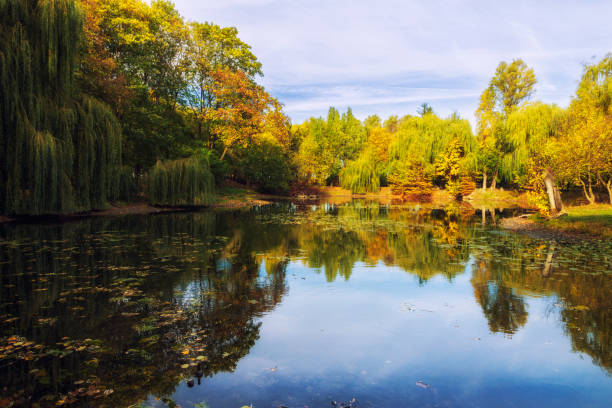 istock Beautiful autumn lake in the day 1313783563