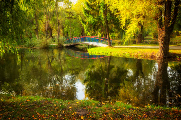istock Beautiful lake in autumn and yellow trees 1313783627