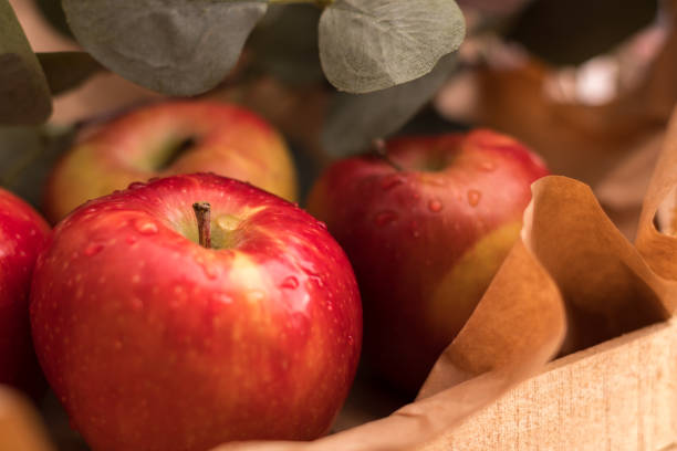 maçãs vermelhas maduras. - agriculture autumn apple greengrocers shop - fotografias e filmes do acervo