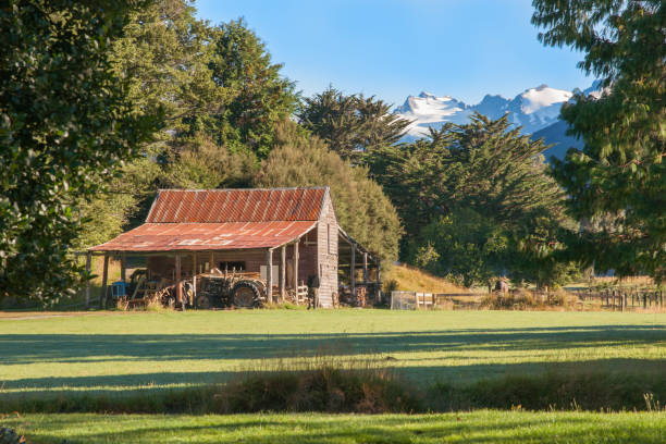 Old red fam shed with disused tractors under lean-too with snow-capped mountains in background. in rural South Island New Zealand.