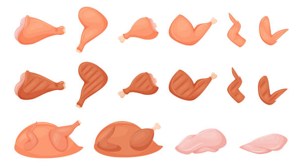 ilustrações de stock, clip art, desenhos animados e ícones de a set of pieces of raw chicken meat. chicken leg, wing, breast fillet, drumstick, whole peeled chicken. fresh raw and fried on chicken. flat cartoon vector illustration isolated on a white background. - chicken barbecue chicken barbecue grilled chicken