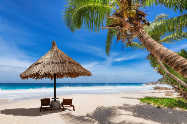 istock Sunny beach with coco palms and parasol in tropical island 1313788932