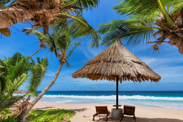istock Sunny beach with coco palms and parasol in tropical island 1313788943