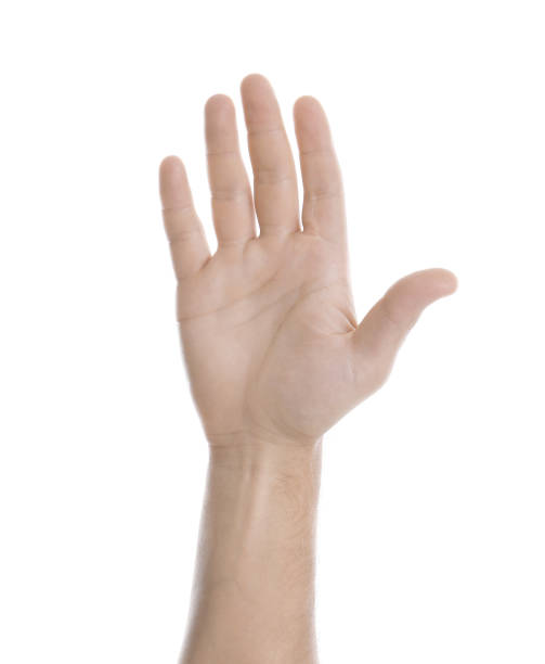 istock Man showing pale palm on white background, closeup. Anemia symptom 1313792335