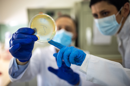 Dos microbiólogos con máscaras protectoras mirando la placa de Petri en laboratorio photo