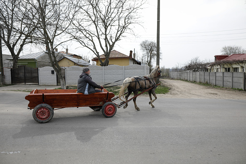 Sintesti, Romania - April 2, 2021: Man drives a horse drawn cart on a public road.