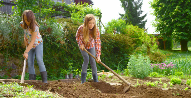 istock Girls working in vegetable garden 1313801214