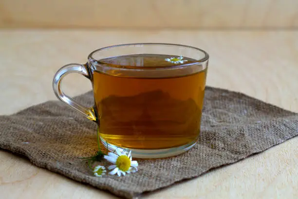 cup of tea.glass cup of hot Herbal chamomile tea on a wooden table with copy space with fresh flowers and green leaves on light background. hot drinks. mug of chamomile tea on sackcloth.