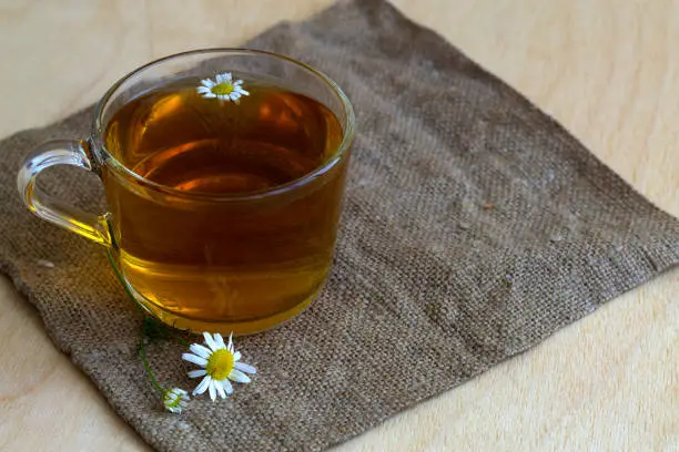 cup of tea.glass cup of hot Herbal chamomile tea on a wooden table with copy space with fresh flowers and green leaves on light background. hot drinks. mug of chamomile tea on sackcloth.