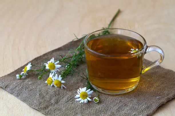 cup of herbal tea.mug of chamomile tea on sackcloth. glass cup of hot Herbal chamomile tea on a wooden table with copy space with fresh flowers and green leaves on light background. hot drinks.