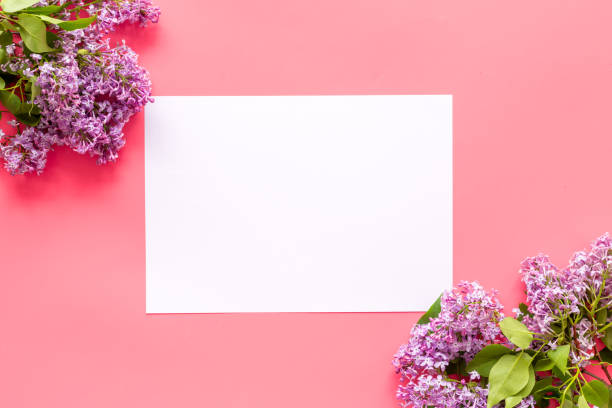 istock Spring purple lilac flowers. Fla lay, mock up 1313806352