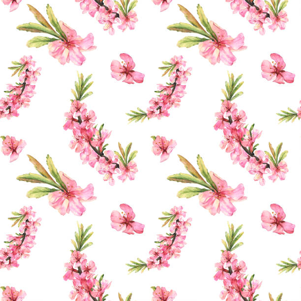 romantyczny bezszwowy wzór z akwarelowymi różowymi kwiatami gałęzi migdałowej - flower flourishes paint backgrounds stock illustrations