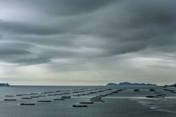 Bateas in Ria de Vigo under a cloudy sky